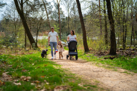 Eine Familie spaziert mit einem Kinderwagen und einem Hund durch den Wald im Holiday Park De Rimboe & De Woeste Hoogte 25.