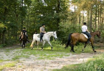 Quattro persone a cavallo su un sentiero nel bosco vicino alla tenda safari Country Estate Gerner 8 nei Paesi Bassi.