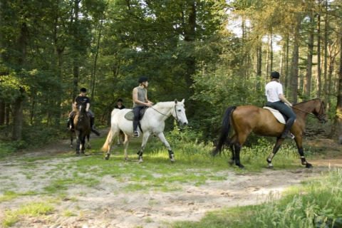 Four people horseback riding on a forest trail by the safari tent Country Estate Gerner 8 in the Netherlands.