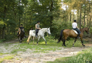 Four people horseback riding on a forest trail by the safari tent Country Estate Gerner 8 in the Netherlands.