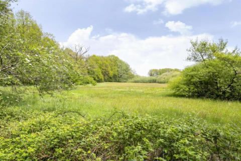 Grønt engområde med træer og buske under en blå himmel i nærheden af Country Estate Gerner 8 i Holland.