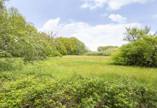 Green meadow and trees beneath a blue sky near the safari tent Country Estate Gerner 8 in the Netherlands.