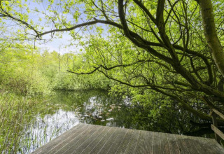 View from a wooden deck over a tranquil pond surrounded by green trees at Country Estate Gerner 8, Netherlands.