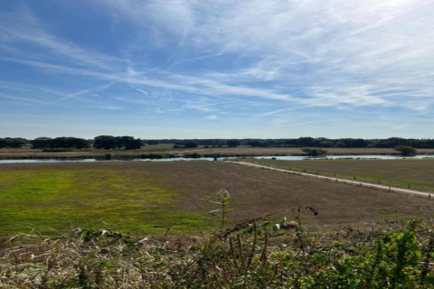 Vista su campi, un fiume e alberi sotto un cielo azzurro dal Country Estate Gerner 8 nei Paesi Bassi.