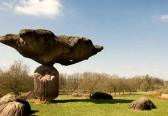 Grande roccia in equilibrio a forma di fungo su un prato al Country Estate Gerner 8 nei Paesi Bassi.