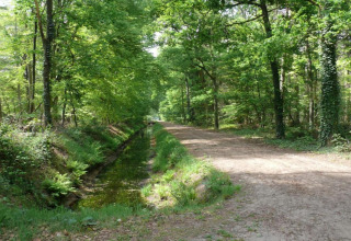 Forest path alongside a small canal, taken near Country Estate Gerner 8, Netherlands, on a sunny day.