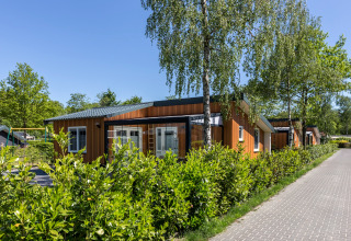 Moderne lodge Residence De Eese 3 in Nederland, omringd door groene struiken en bomen bij zonnig weer.