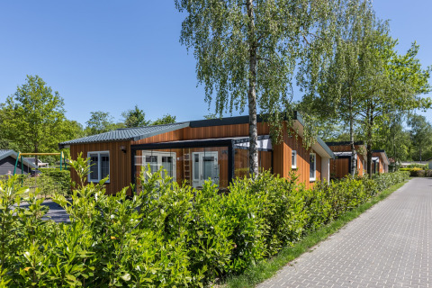 Moderne lodge Residence De Eese 3 in Nederland, omgeven door groene struiken en bomen op een zonnige dag.