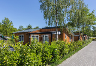 Moderne lodge Residence De Eese 3 in Nederland, omgeven door groene struiken en bomen op een zonnige dag.