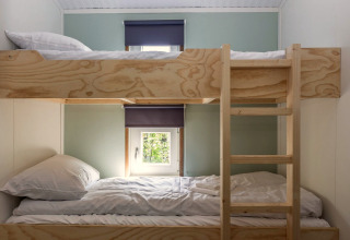 Houten stapelbedden met ladder en ramen in een lichte kamer van Residence De Eese 3, Nederland.