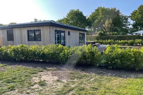 Moderne træhytte på Recreation Park Idskenhuizen 11 i Holland omgivet af grønne buske og have.