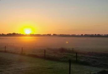 Amanecer sobre un campo con niebla en Recreation Park Idskenhuizen 11, Países Bajos, con árboles al fondo.