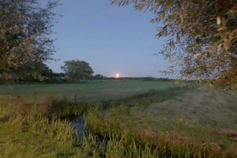 Vue du soir depuis le Chalet «Imke» aux Pays-Bas, lune orange sur champs verts et arbres sous ciel bleu.
