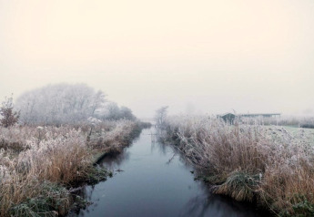 Vinterudsigt over en kanal og siv ved Chalet Imke i Holland, med rimfrost og diset atmosfære.