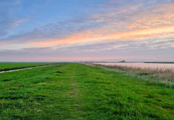 Fredeligt landskab med grønne marker og vand, set fra Chalet «Imke» i Holland ved solnedgang.