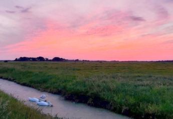Smuk solnedgang med pink himmel over marker og en lille kanal med svaner ved Chalet «Imke», Holland.