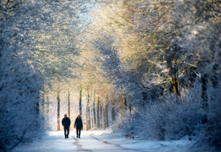 Due persone camminano su un sentiero innevato tra alberi ghiacciati vicino a una tenda teepee nei Paesi Bassi.
