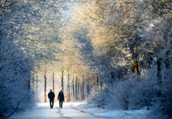 Deux personnes marchent sur un chemin enneigé entouré d’arbres gelés près d’un tipi aux Pays-Bas.