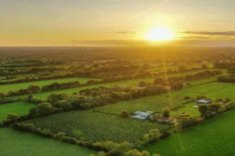 Solnedgang over grønne marker set fra en safaritelte ved Safari tent 'Gaadlik' i Holland.