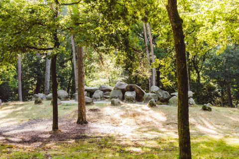 Stenmonument i solrigt skovområde ved en glampingplads, omgivet af træer og grøn vegetation.