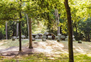 Stenmonument i solrigt skovområde ved en glampingplads, omgivet af træer og grøn vegetation.