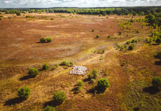 Luftfoto af et naturskønt glampingområde med en fåreflok og spredte grønne buske i det åbne landskab.