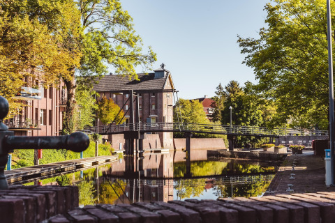 Udsigt over kanal og bro omgivet af grønne træer nær glamping-ophold i morgensolen.