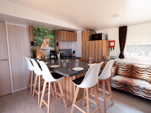 Cuisine moderne au SunLodge Mobile Home avec décoration animale et photo de singe, Marina di Venezia, Italie.