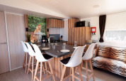 Cocina moderna en SunLodge Mobile Home con decoración animal y foto de mono, Marina di Venezia, Italia.