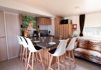 Cocina moderna en SunLodge Mobile Home con decoración animal y foto de mono, Marina di Venezia, Italia.