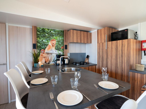 Cucina moderna nella SunLodge Mobile Home Catalpa con tavolo apparecchiato e foto di nasi, Italia.
