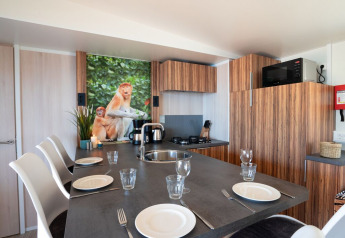 Modern kitchen in SunLodge Mobile Home Catalpa with set table and proboscis monkey wall art, Italy.
