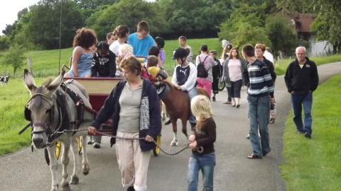 Un groupe d'enfants et d'adultes fait une balade en charrette à âne et à poney au Flower Camping de la Trye.