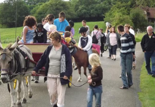 Un groupe d'enfants et d'adultes fait une balade en charrette à âne et à poney au Flower Camping de la Trye.