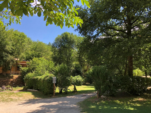 Campeggio soleggiato Moulin de Chaules, circondato da alberi verdi e rigogliosi sotto un cielo azzurro.