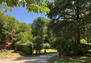 Campeggio soleggiato Moulin de Chaules, circondato da alberi verdi e rigogliosi sotto un cielo azzurro.