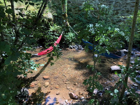 Two hammocks hang above a shallow stream in the woods at Moulin de Chaules campsite in France.