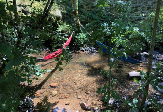 Two hammocks hang above a shallow stream in the woods at Moulin de Chaules campsite in France.
