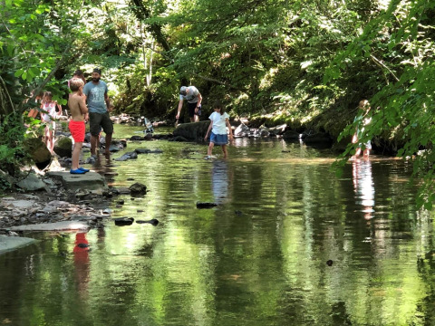 Famiglie e bambini giocano in un ruscello immerso nel verde al campeggio Moulin de Chaules in Francia.