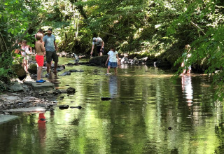 Families and children play in a shallow creek surrounded by greenery at Campsite Moulin de Chaules in France.