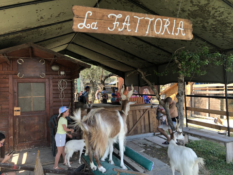 Bambini e capre sotto l’insegna 'La Fattoria' nella fattoria del Centro Vacanze San Marino.