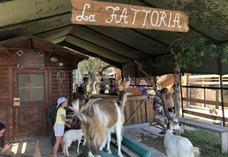 Bambini e capre sotto l’insegna 'La Fattoria' nella fattoria del Centro Vacanze San Marino.