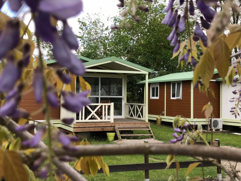 Grøn Chalet: Træhytter med grønne tage og veranda set gennem lilla blomster på en forårsdag