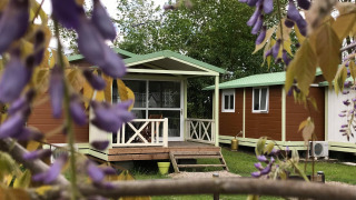 Grøn Chalet: Træhytter med grønne tage og veranda set gennem lilla blomster på en forårsdag