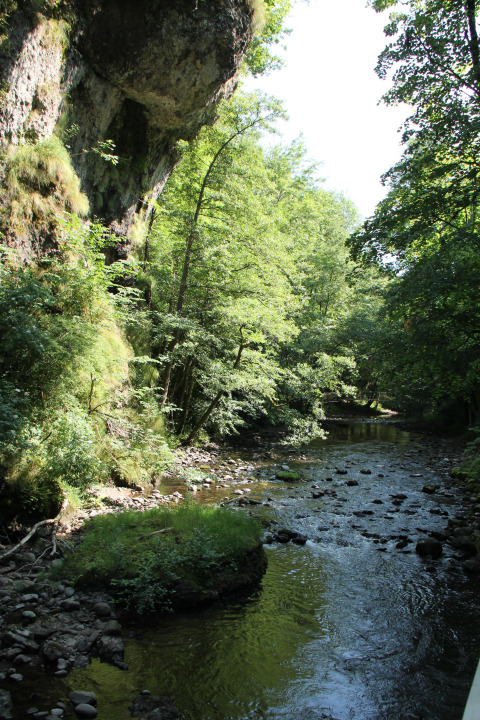 Panorama al campeggio Moulin de Chaules in Alvernia-Rodano-Alpi con fiume roccioso e alberi rigogliosi.