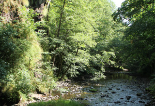 Panorama al campeggio Moulin de Chaules in Alvernia-Rodano-Alpi con fiume roccioso e alberi rigogliosi.