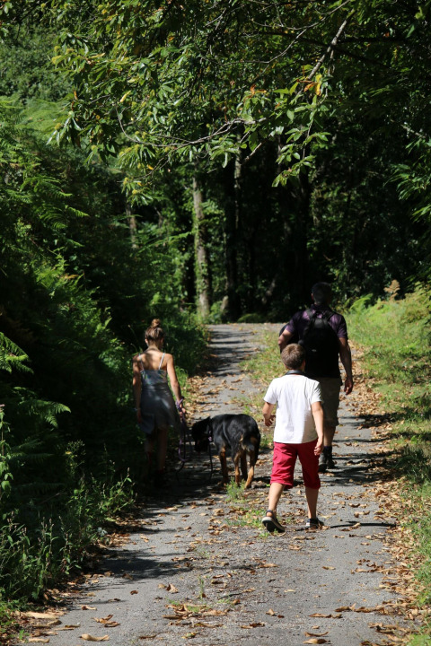 Una famiglia passeggia con il cane su un sentiero nel campeggio Moulin de Chaules, Auvergne-Rhône-Alpes, Francia.