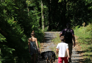 A family walks with their dog along a wooded path at Campsite Moulin de Chaules in Auvergne-Rhône-Alpes, France.