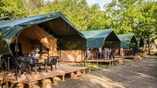 Rangée de tentes safari avec terrasses extérieures en bois et chaises, entourées de verdure.