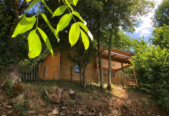Chalet in legno su una collina circondato da alberi verdi, grandi foglie in primo piano e cielo azzurro.